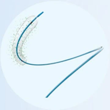 Paclitaxel-Coated Pta Balloon Catheter